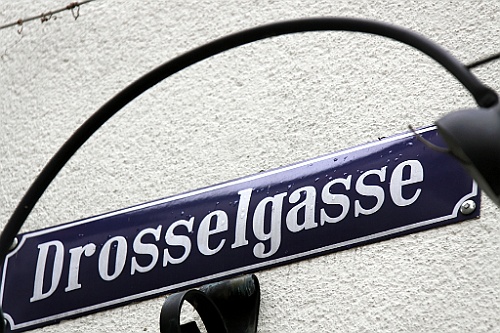 geis (30)